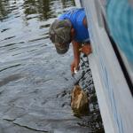 OTRA2014_1590 (September 03, 2014)